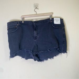 NEW Abercrombie The Cutoff Short High Rise Distressed Plus Size 37 24